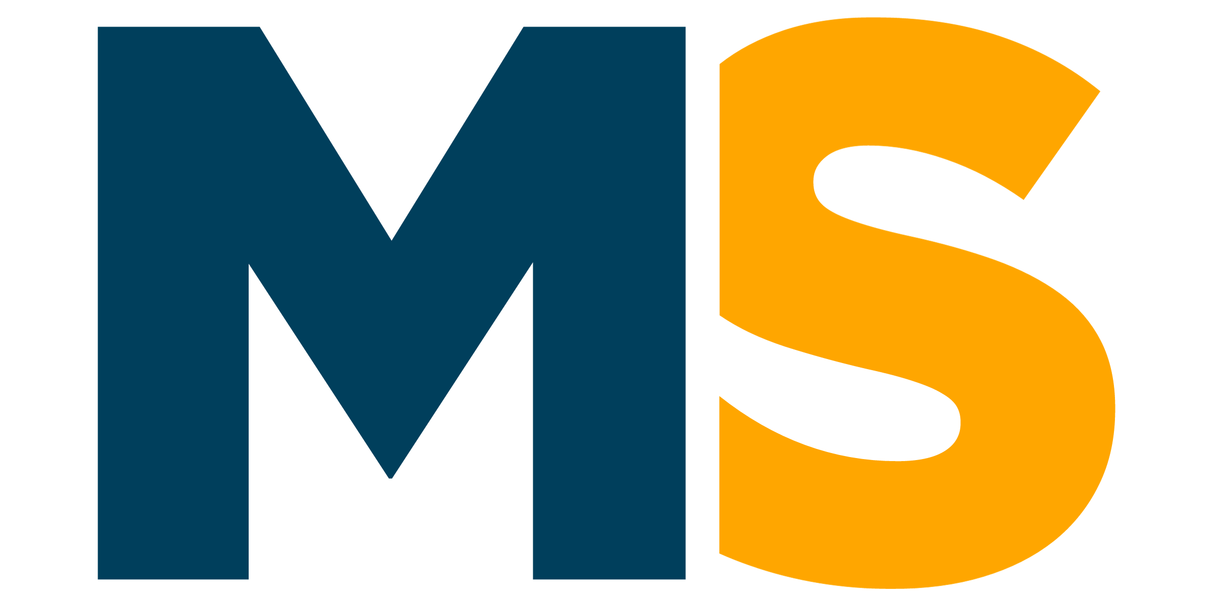 Martin Solomon Official Logo
