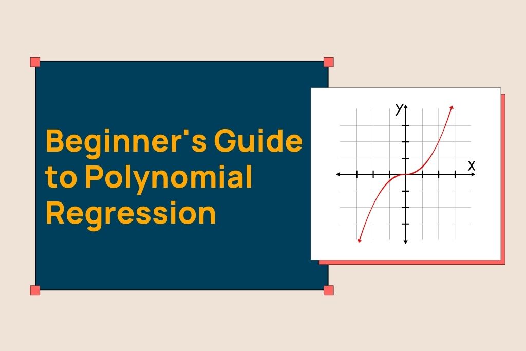 Beginner's Guide to Polynomial Regression