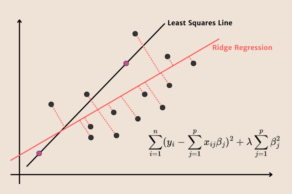Beginner’s Guide to Ridge Regression